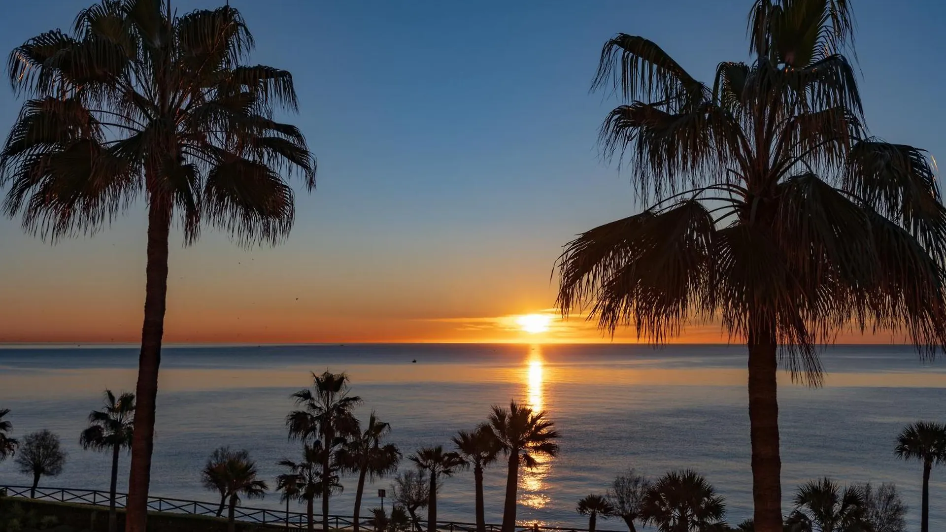Elba Estepona Gran Hotel & Thalasso Spa