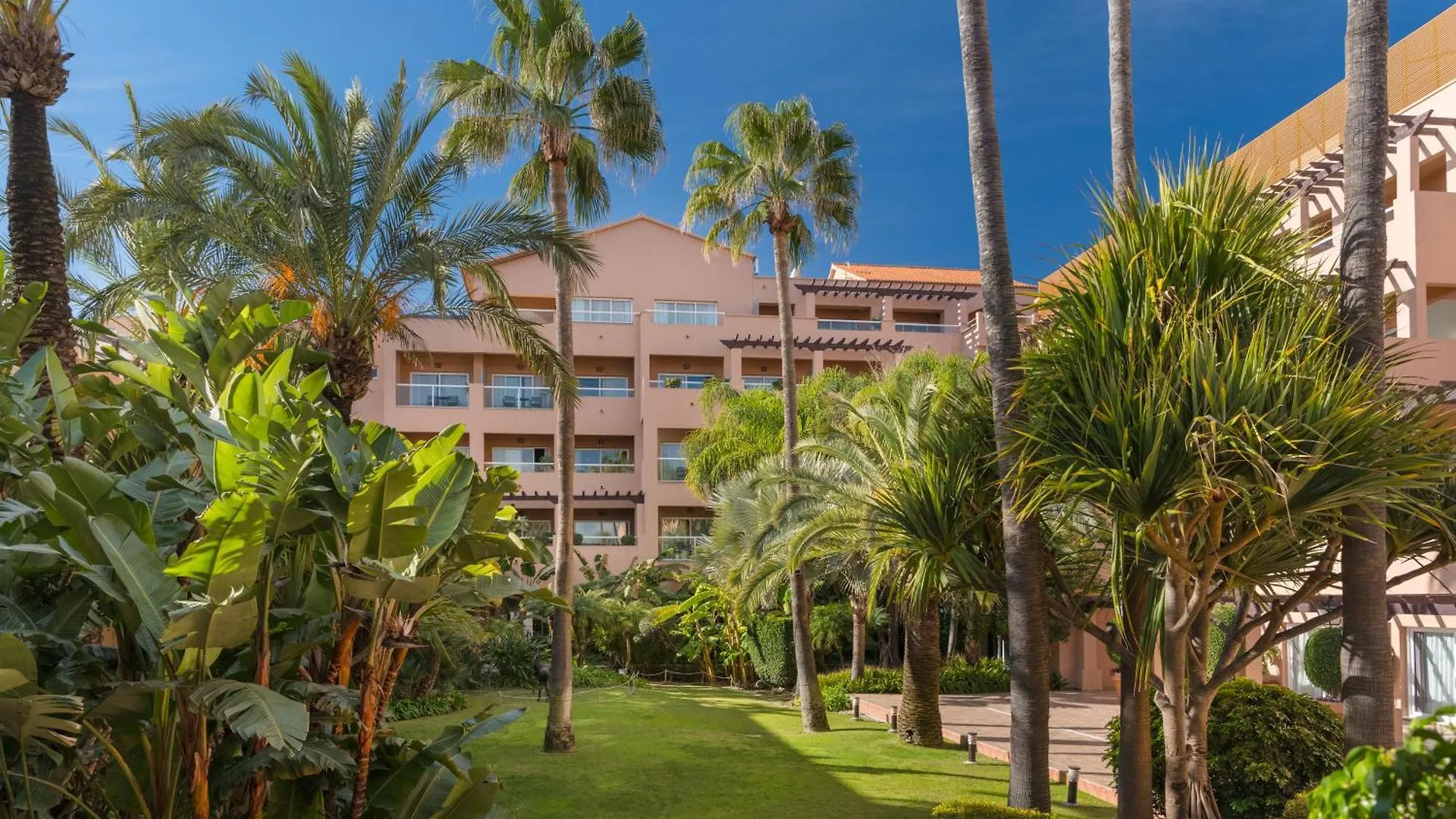 Elba Estepona Gran Hotel & Thalasso Spa