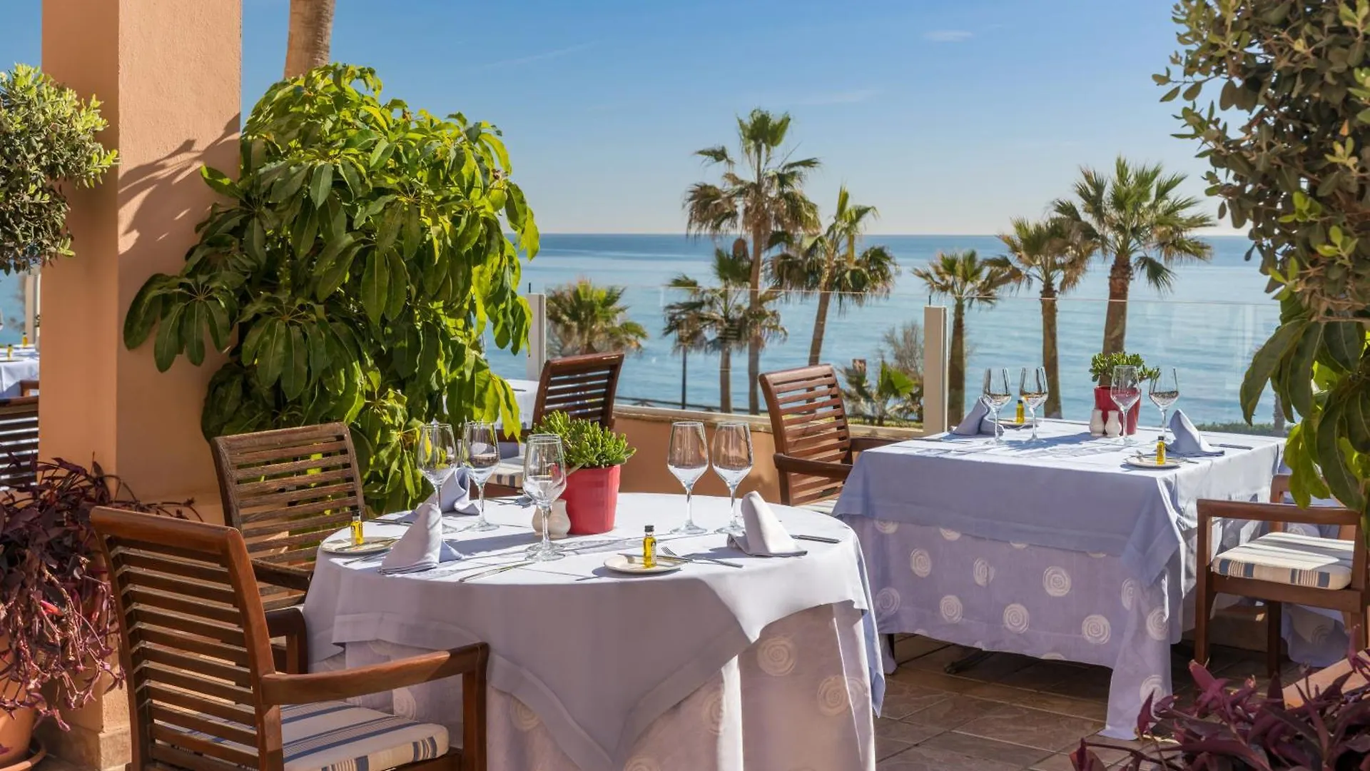 Elba Estepona Gran Hotel & Thalasso Spa
